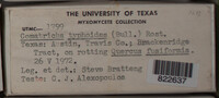 Image Associated With the Occurence